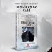 GÖKTÜRKLER DESTANI/Bengütaşlar Çağı